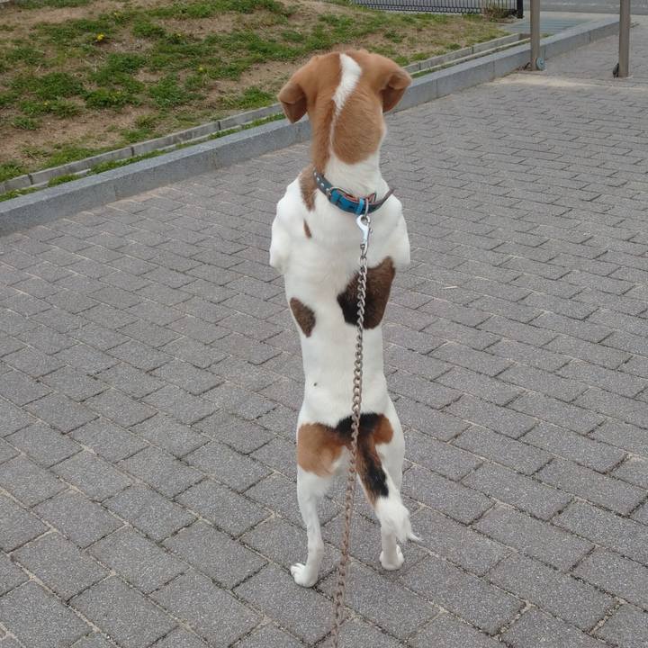 Ef79ea45 b100 45bc 9c41 6824452b937d 1616396042781