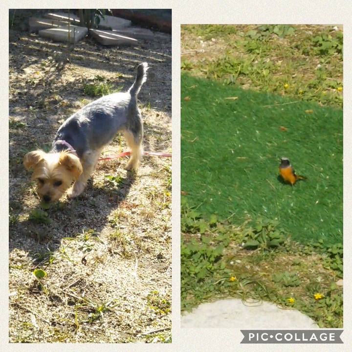 Ef7a3871 2814 4056 9190 e4f8e1dbc332 1604918523366