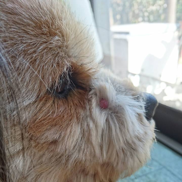 Ef7a4a58 1d47 4227 bcf1 e5a080618108 1519704397050