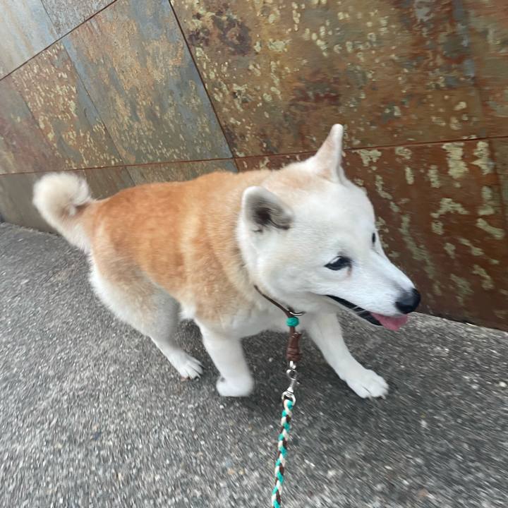 Ef7a86e6 01eb 4c62 ae41 4091fd96d6ae 1696979041213