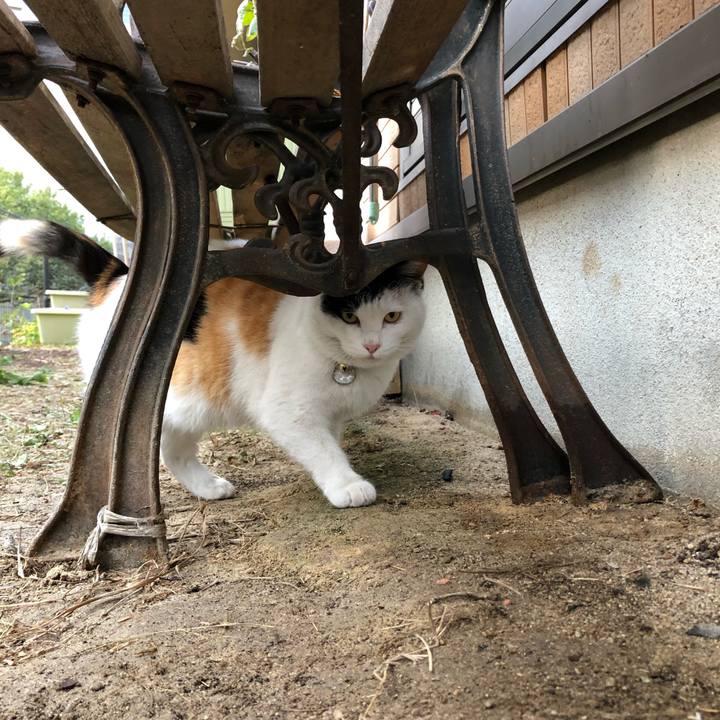 Ef7a9523 7ef1 4de4 b948 5753073886e5 1609024323981