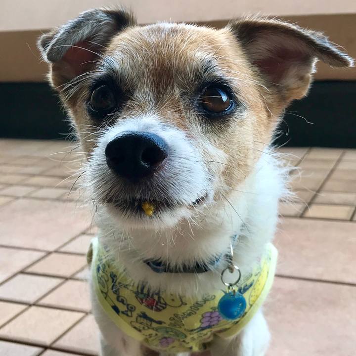 Ef7ab07a 8890 48df a0bf 1b8d45a7aa1a 1596409594045