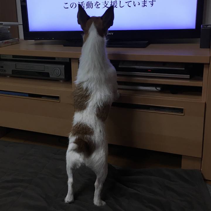 Ef7ace8b dace 42b0 8cf3 f9a77ed03f08 1571711589844