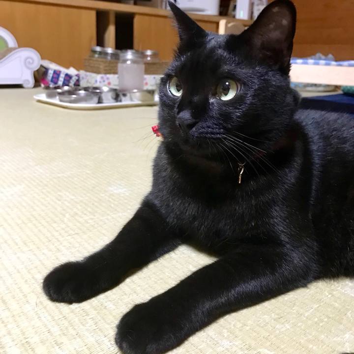 Ef7ae69a eab2 40eb b461 bcd08c4a0d48 1528635002680