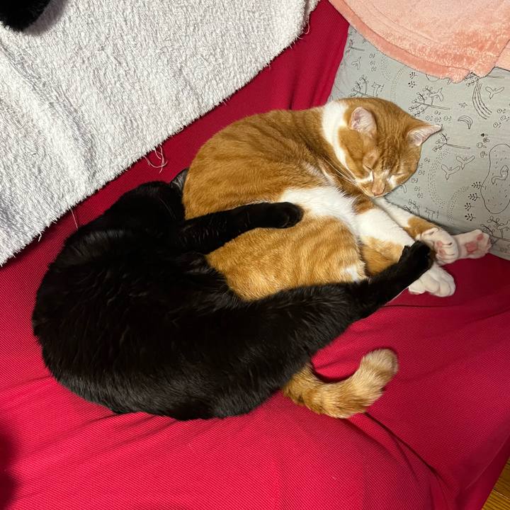 Ef7ae81d 5331 4038 b85b 435b465e7261 1734591530558