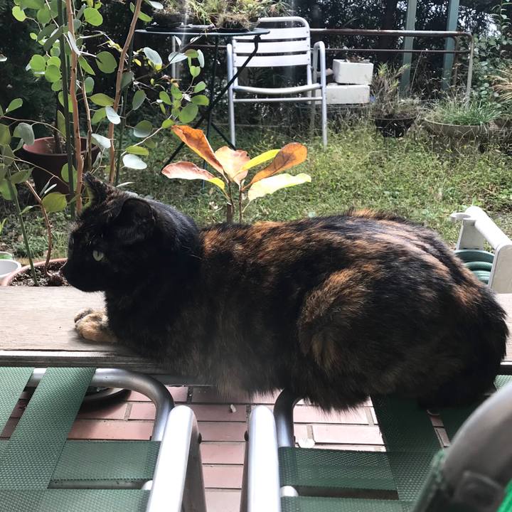 Ef7aec14 8e00 4c0c 8a50 a149a0cbfb5c 1510541500782