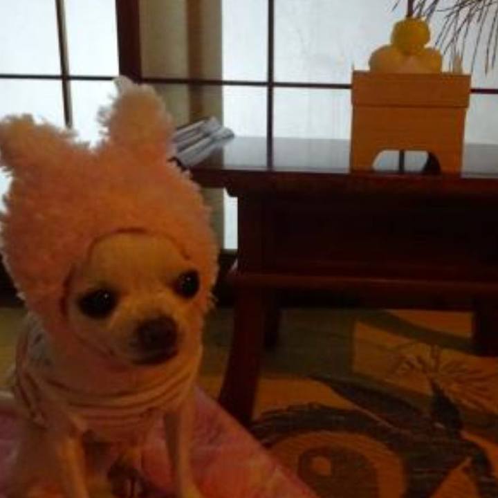 Ef7b2d37 087a 47fb 9113 e6cc9663bda5 1662818173122