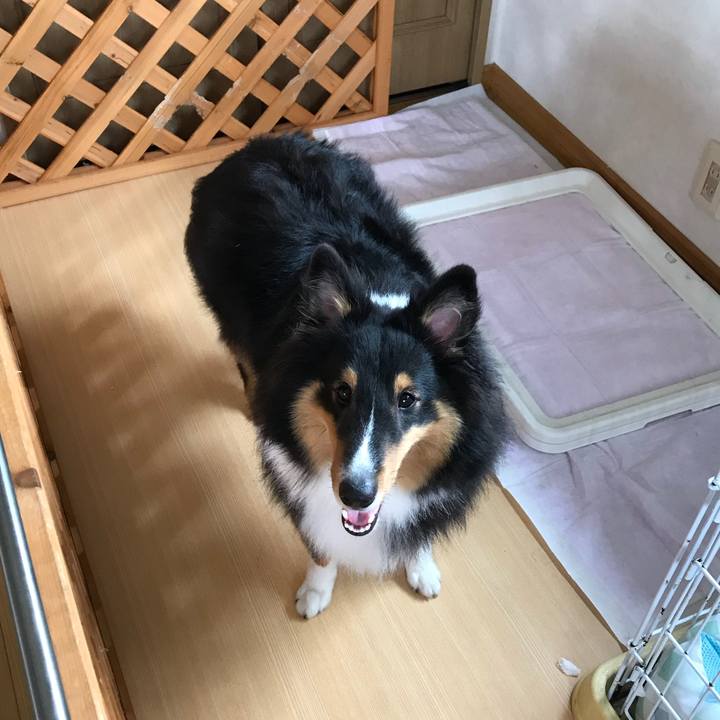 Ef7b2e91 5ff3 44a9 8570 626d330908e1 1532990415106