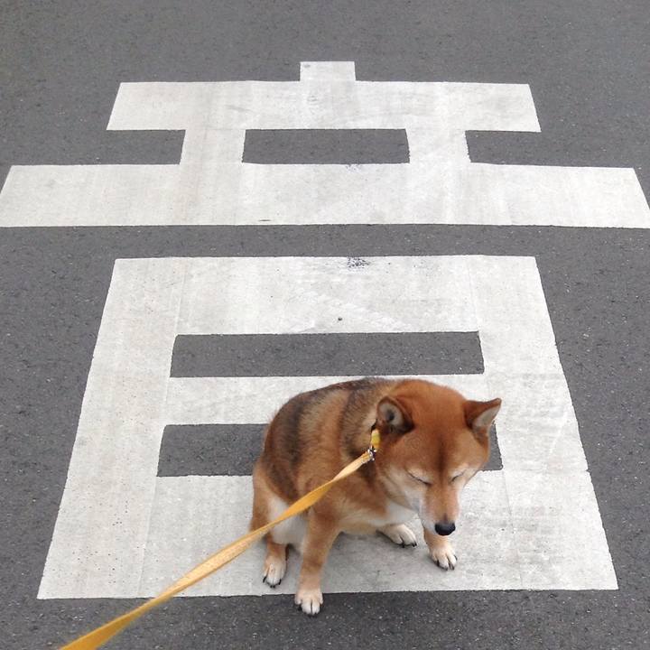 Ef7b8d6c b496 48b0 9dc0 4a619b909f96 1517700903129