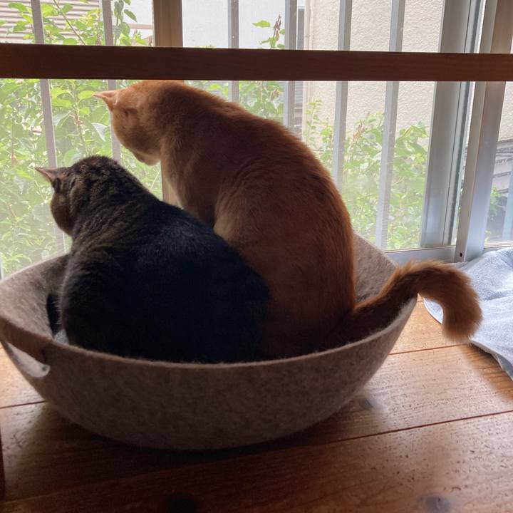 Ef7b9848 d2ec 4517 8fa3 3173e0ab763a 1727597862671