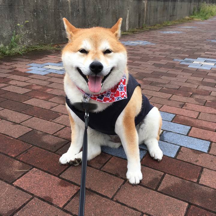 Ef7bd07d 4139 44e1 9814 fa14106eeb13 1568162648138