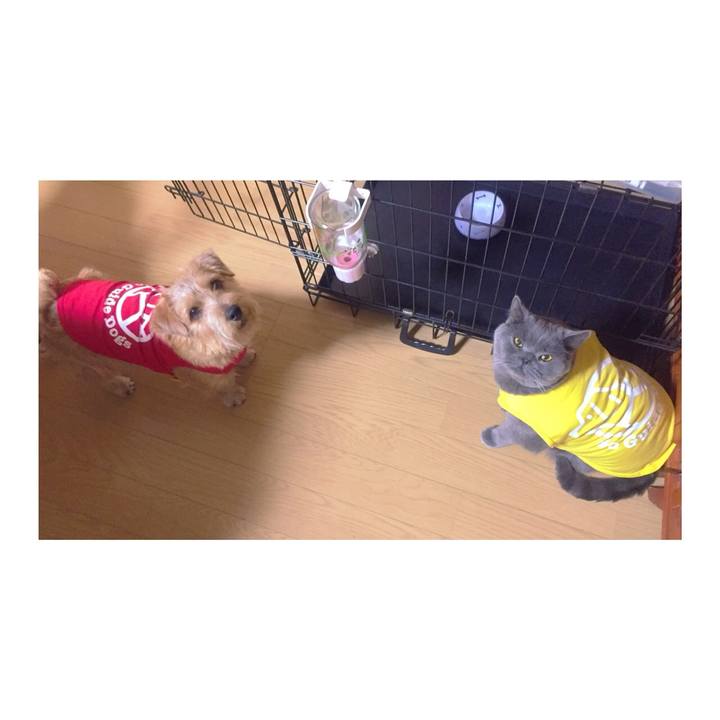 Ef7c019b 1851 4a96 98cf a639a2b3ba3f 1773475142162