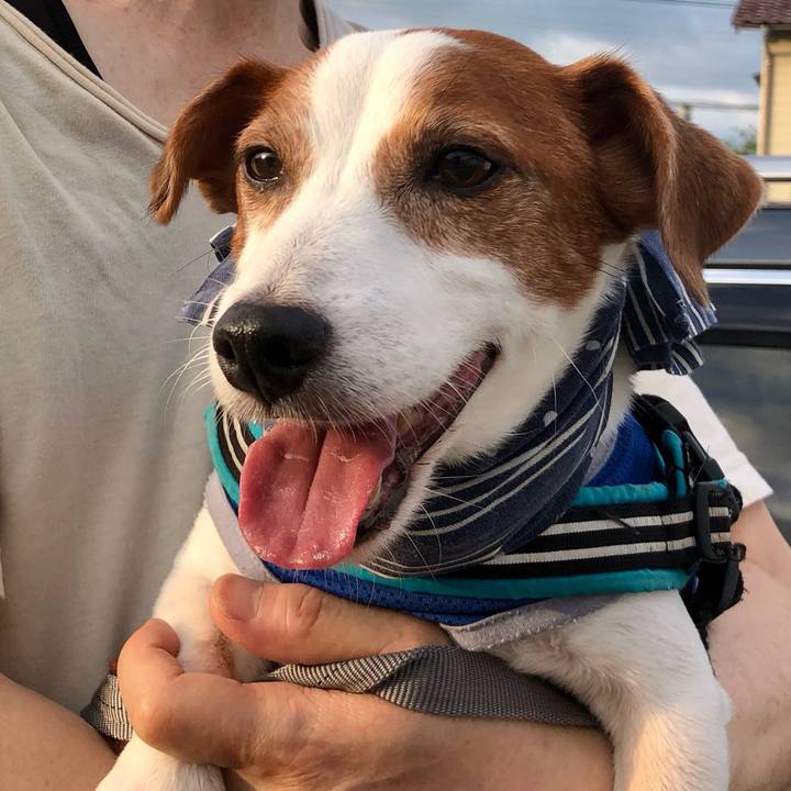 Ef7c0feb 83d4 4966 9c76 be09b0f24f57 1723069824168