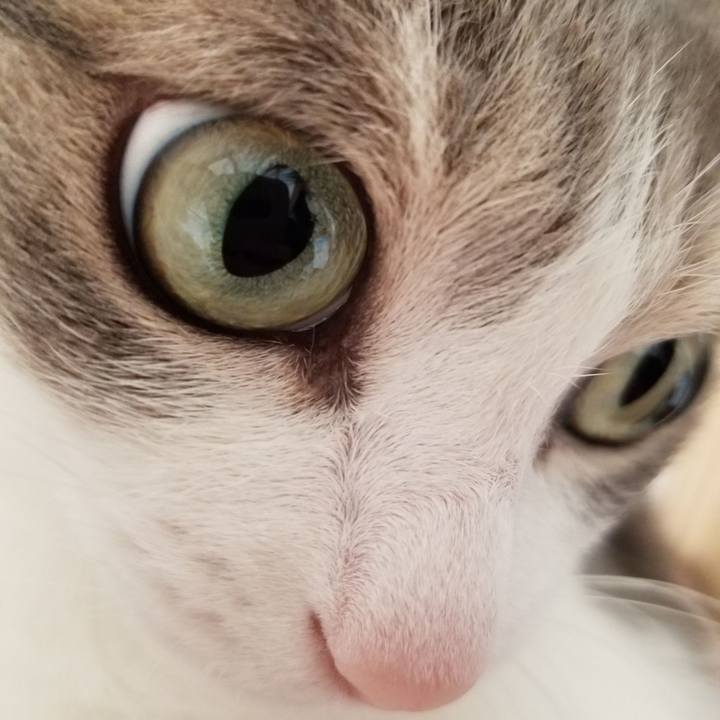 Ef7c1d10 1e63 4da6 8539 dacb032ece4b 1644670988131