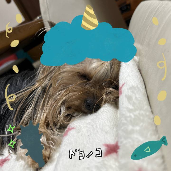 Ef7c21ee 6aef 45fd 8a9a c70a5b6c8421 1706886618555