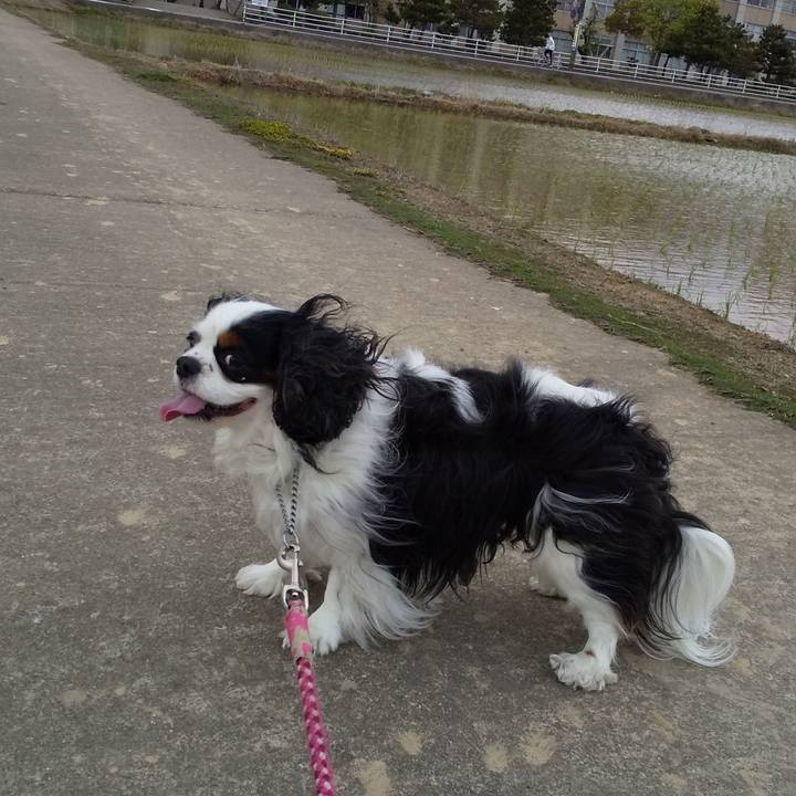 Ef7c26fe edc2 4014 8b56 350608139b7f 1588728731886