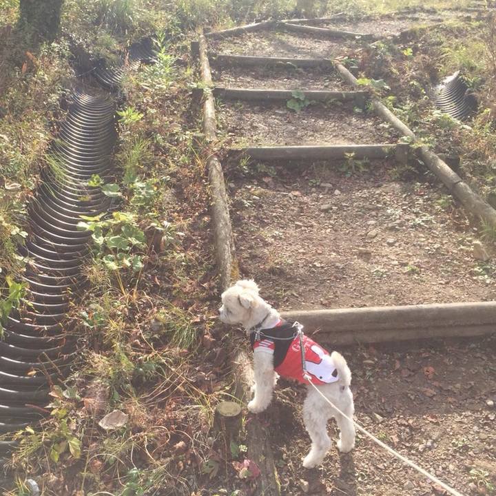 Ef7c5002 0e98 4f39 bb73 c3df96b17f8e 1511177975777