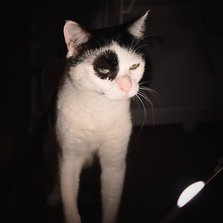 Ef7c52a3 1f49 451f b843 f17dc0be00a7 1569157365497