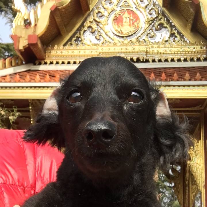 Ef7cb5aa 4017 4590 b4f9 e08e81392133 1619823876011