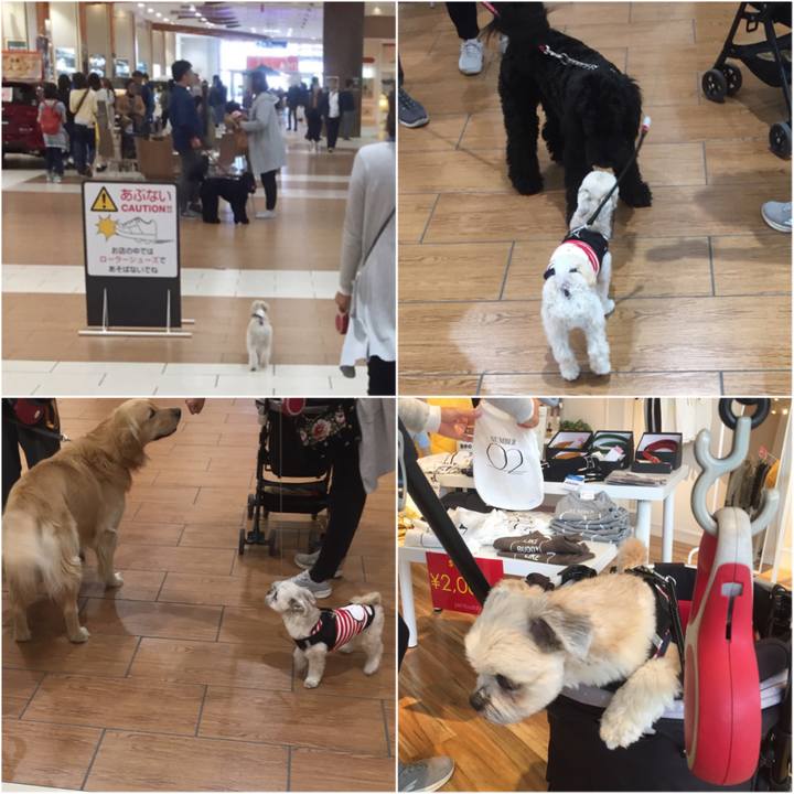 Ef7cbefc 9b0a 45d2 b71e 8f06053d61c0 1523741830461