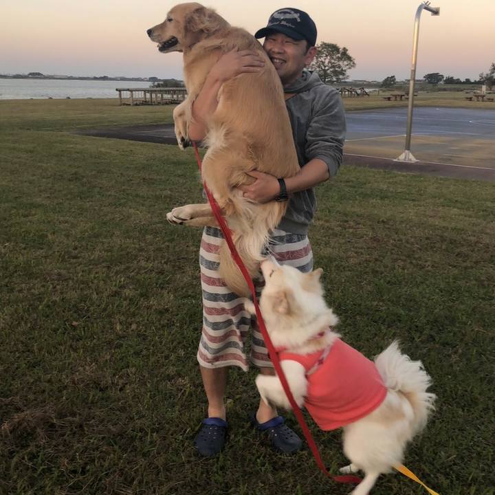 Ef7ce243 6a86 46c7 94dd effbe7f6e117 1540806492565