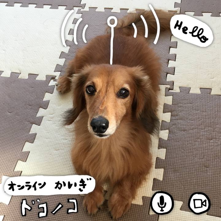 Ef7cf92f 33fb 40cd bcea b6ded7a3cc74 1592395213594