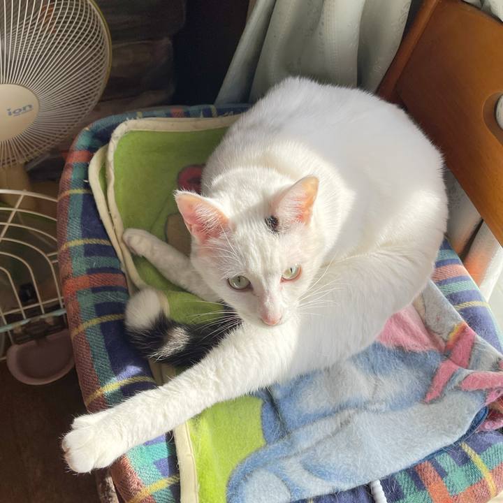 Ef7d02e6 e47d 4aeb 835f e4be597e7680 1767148286548