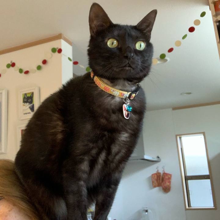 Ef7d275a e3fb 4ba4 b508 0cf05447c806 1550367134071