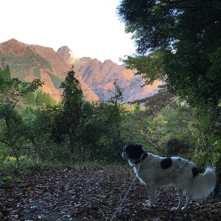 Ef7d28ca 3e8f 4bf6 bdde a1c3e7e7a4b1 1510466200587