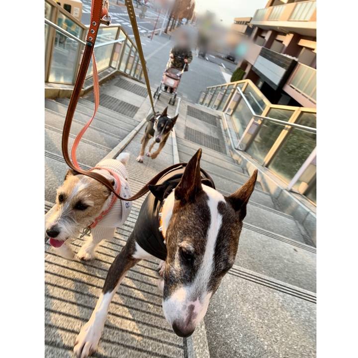 Ef7d4352 5002 47d8 b71a 03ce7ef639f1 1609071763241