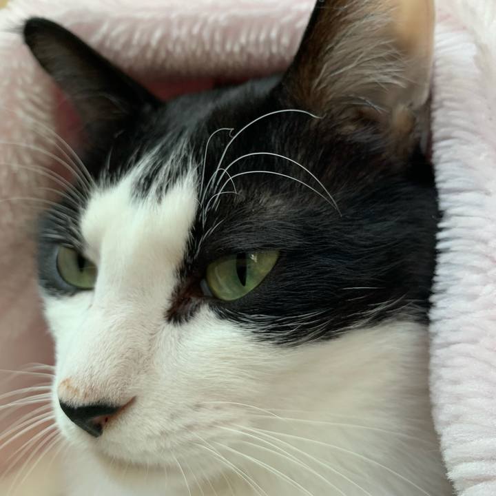 Ef7d9a1e fbe0 444e 9ddf a44af50c8c56 1744411806491