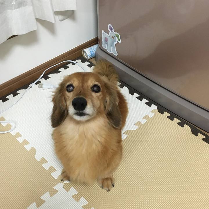 Ef7daede 79c0 40a8 9915 1ffc3f936066 1627816516211