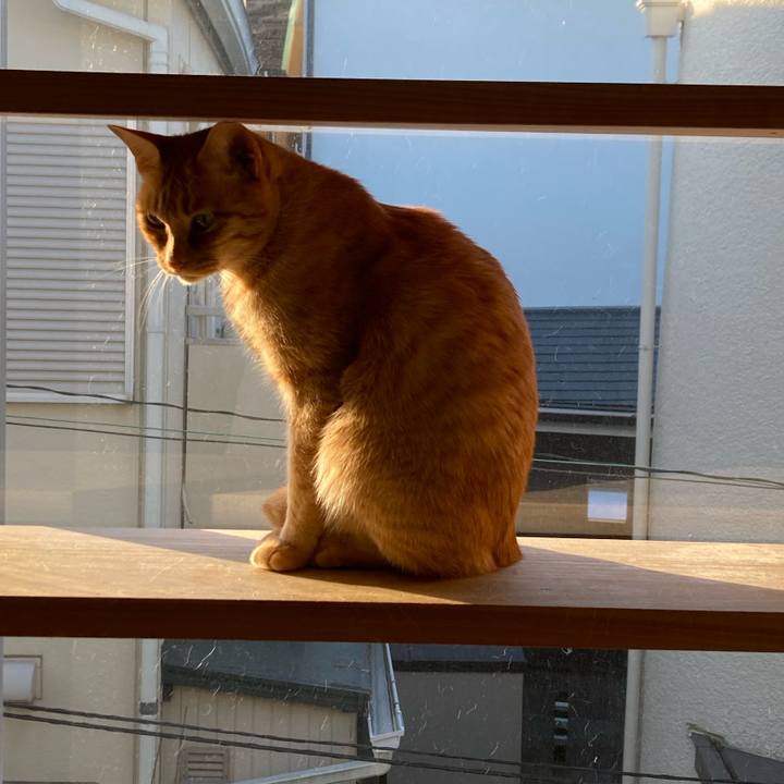 Ef7db647 df36 4091 a77f fb90e4b2bdae 1674257213402