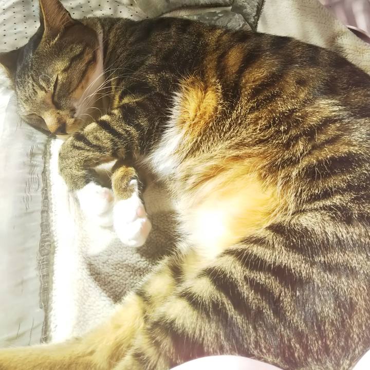 Ef7dd4e5 0275 41f2 924b 594962e1d631 1615429045198