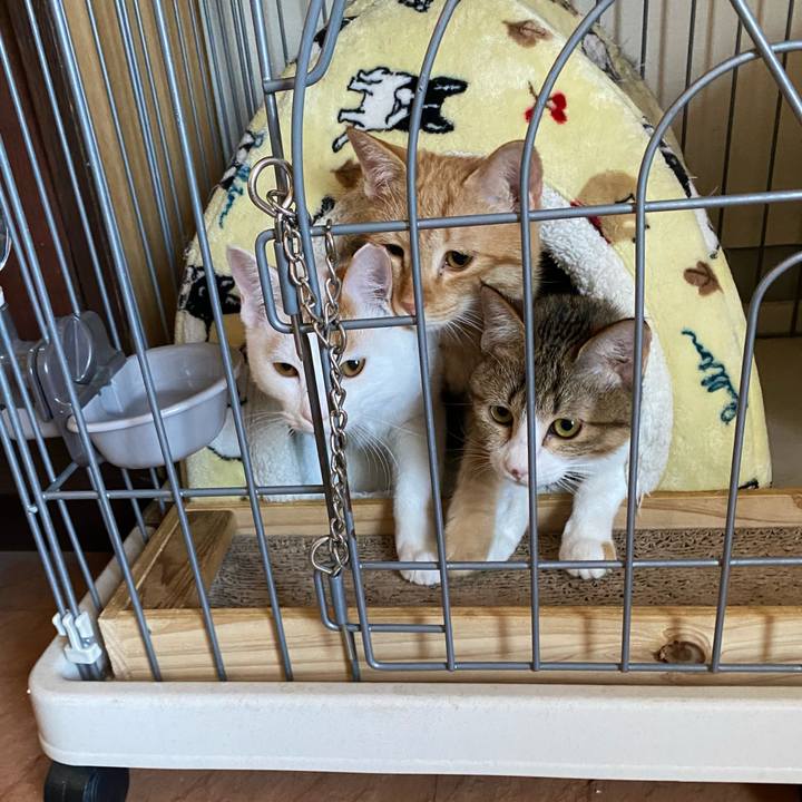 Ef7dd5d1 2dbd 4509 a960 d6f94e8c3620 1761717076884