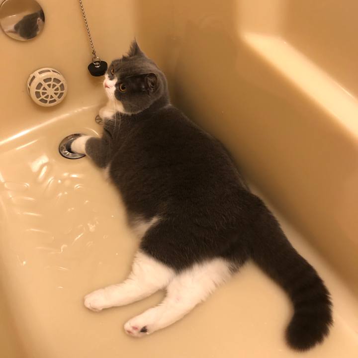 Ef7ded78 e409 4b16 9e7f dcfc03877394 1543839483160