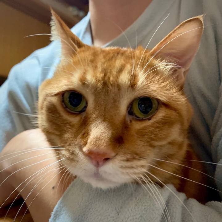 Ef7e1774 183c 4618 9d5e d6ccbe7e4d9d 1578054419228