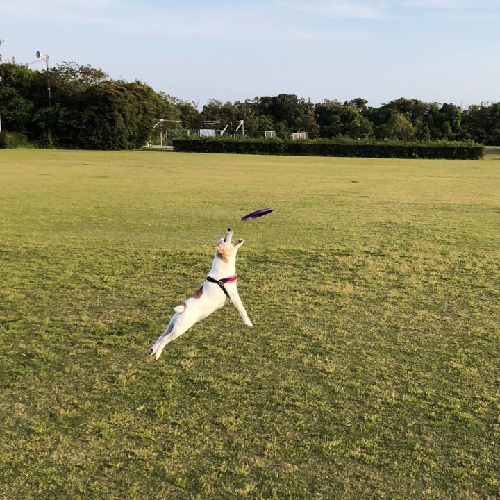 Ef7e36a1 2acf 427a a27b 14d9d31e6291 1524392253986