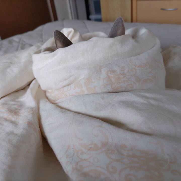 Ef7e4884 9a23 4750 9da7 cd395ce54310 1698542593715