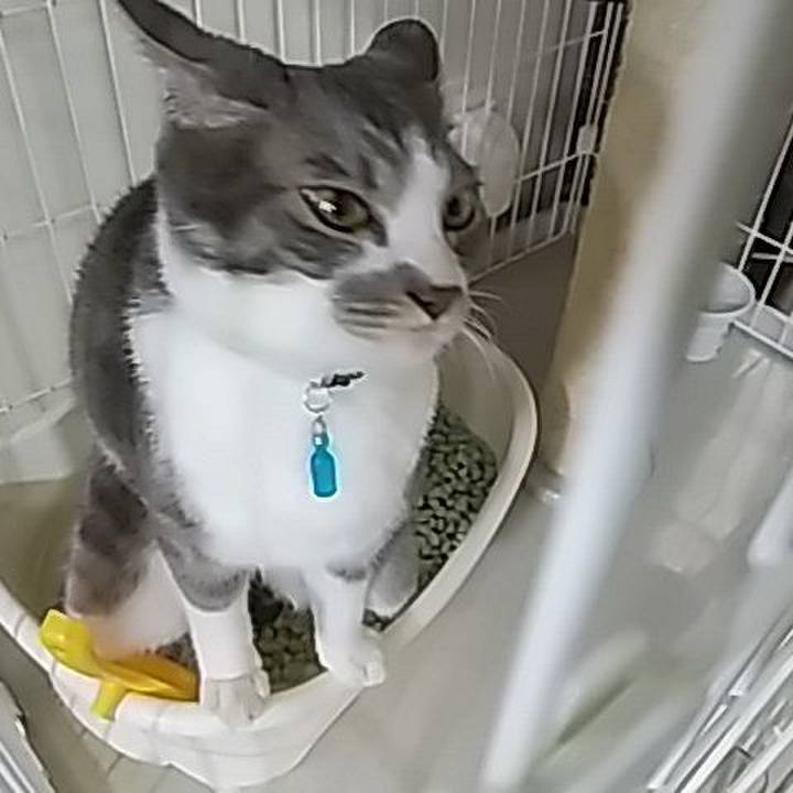 Ef7e56a2 d88f 4dad 8142 6b1801714dfe 1589152787592