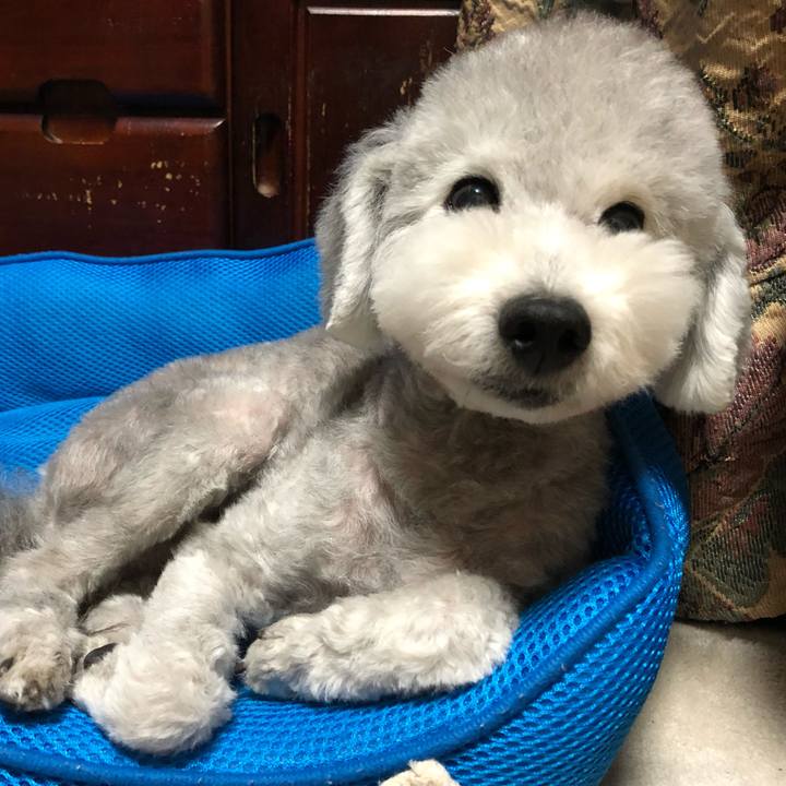 Ef7e7286 18a0 4c4d a79c 0d69ccd7a018 1557960509125