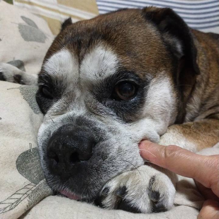 Ef7e7afd 9320 43e7 bae6 a275b98a4afd 1633523305125