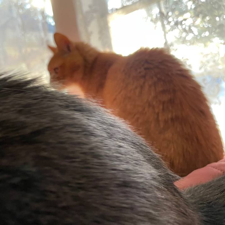 Ef7e8073 7fb6 443a 8d0a 26ae99c9ee28 1769270717942