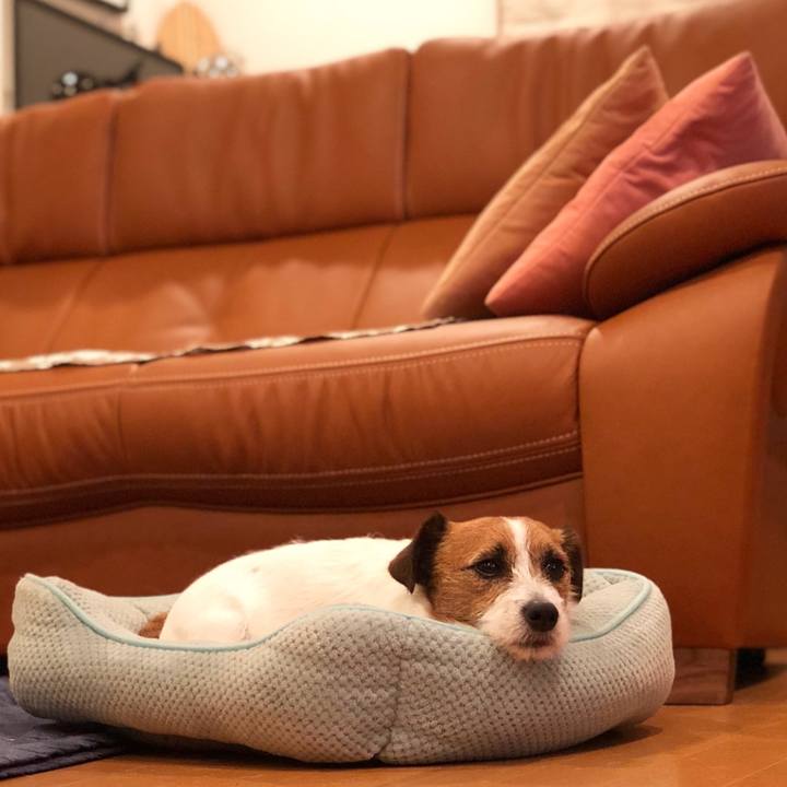 Ef7ee5c4 440a 41bf b314 bb64e325351f 1526216036891