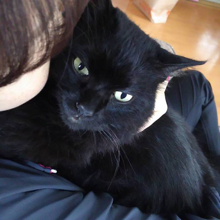 Ef7eead2 7971 4e6f b28f 294a90647747 1534411040337