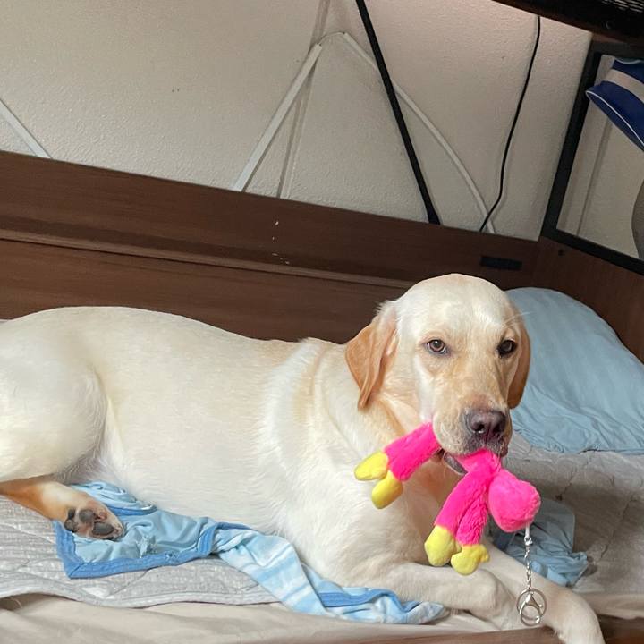 Ef7f46c5 f613 4a06 84fb e4d74c7ae3ce 1657410049823