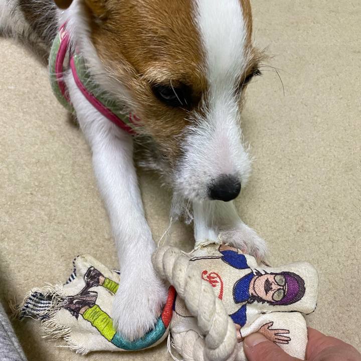 Ef7f6f27 8769 426f 8824 32a473fdfb05 1616931543863