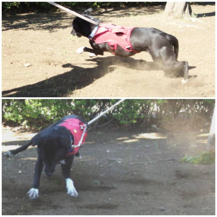 Ef7f7489 15b4 4366 a719 8f0159474098 1682989612254