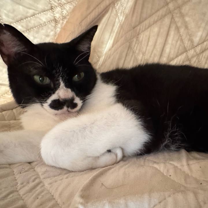 Ef7f8e85 694a 440a 8765 2bbda6d7f3f5 1752710677117