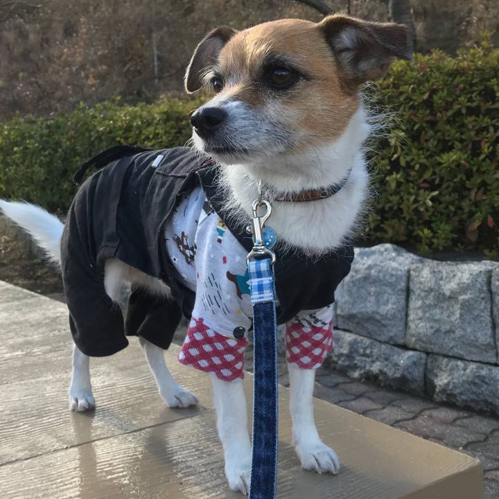 Ef7f91c9 9fe7 4f4e a020 55c149456512 1516058217846